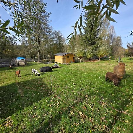 Ubytování Chlum 1 Hlinsko Exterior foto