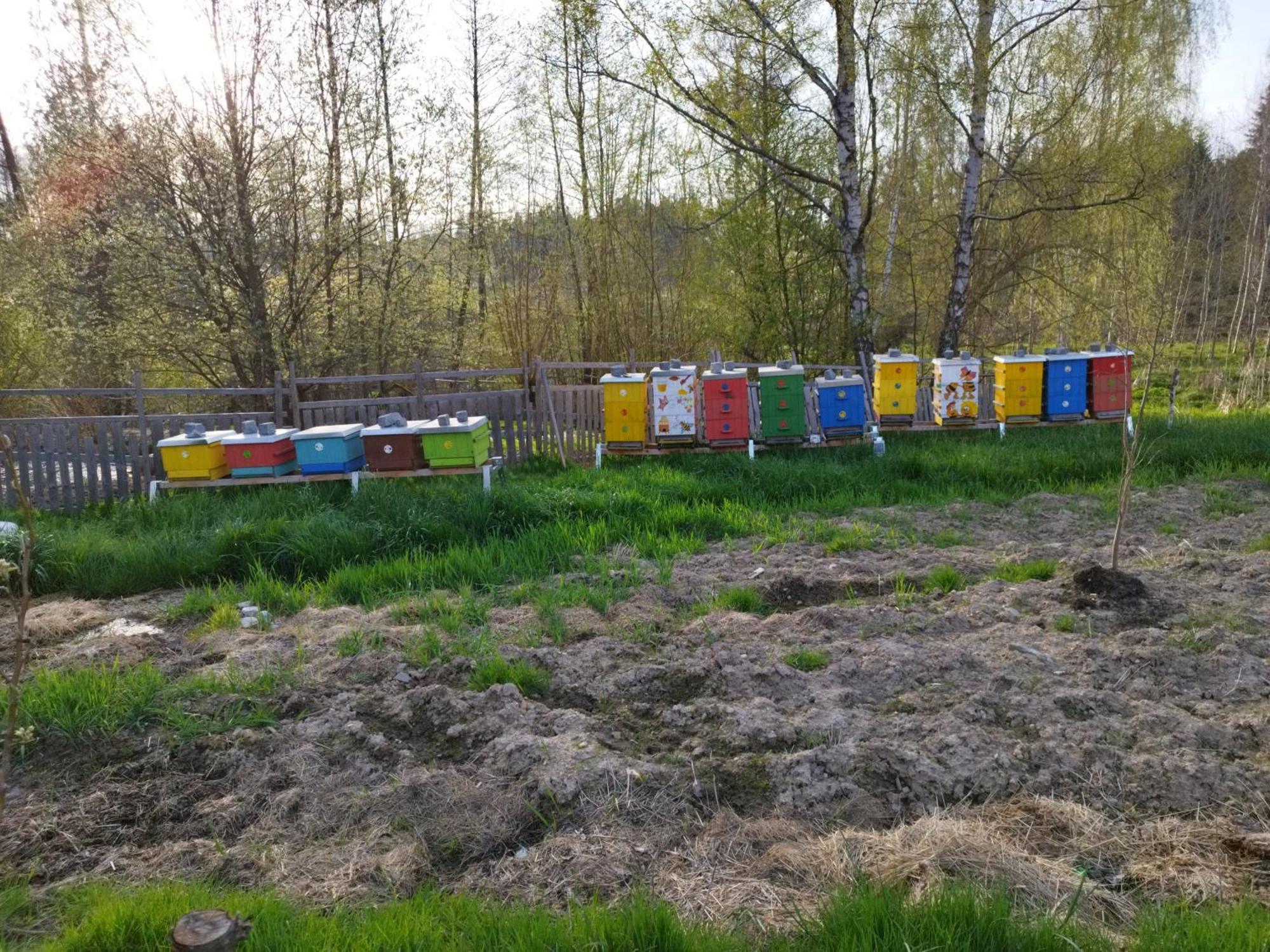 Ubytování Chlum 1 Hlinsko Exterior foto