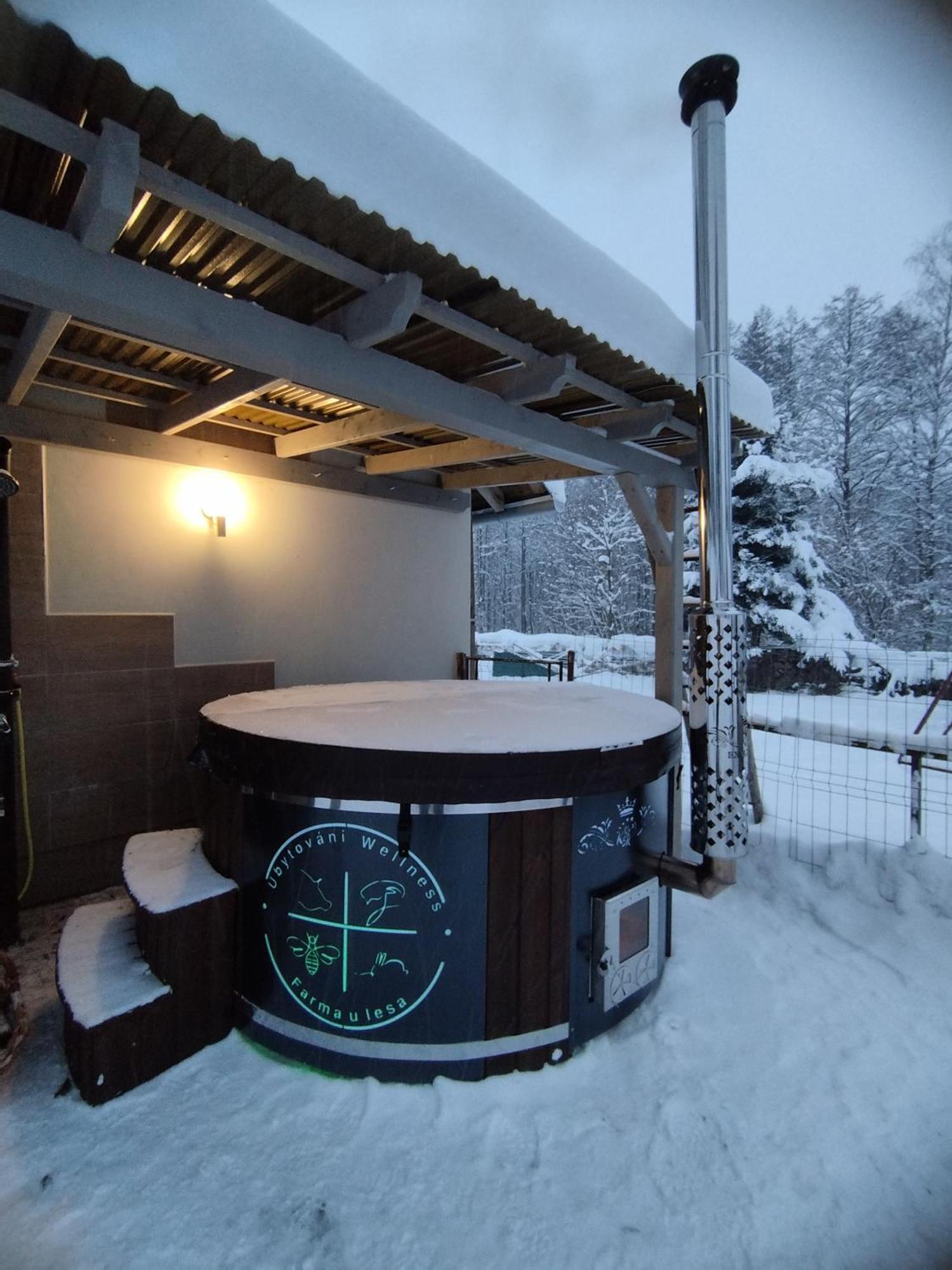Ubytování Chlum 1 Hlinsko Exterior foto