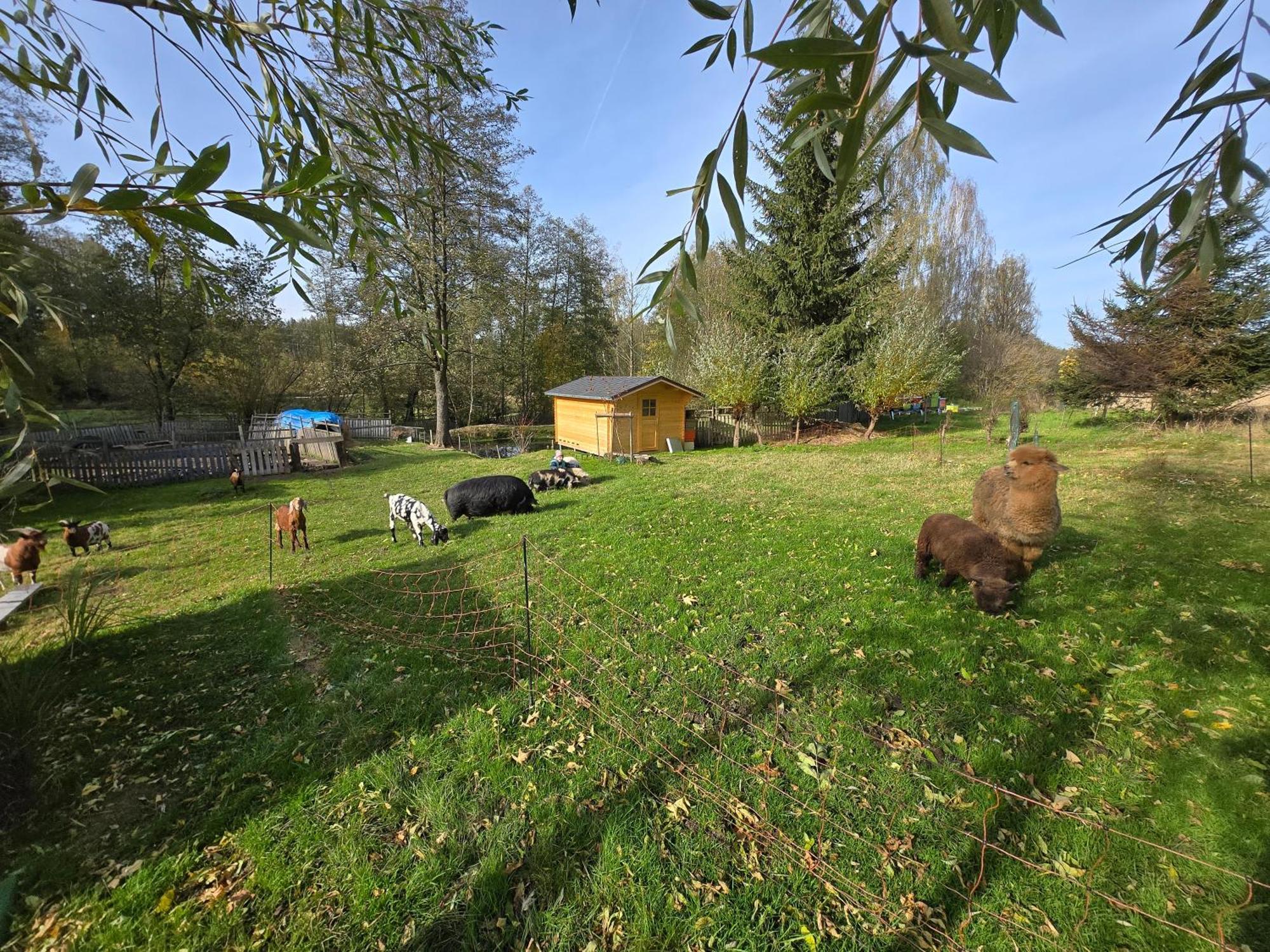Ubytování Chlum 1 Hlinsko Exterior foto